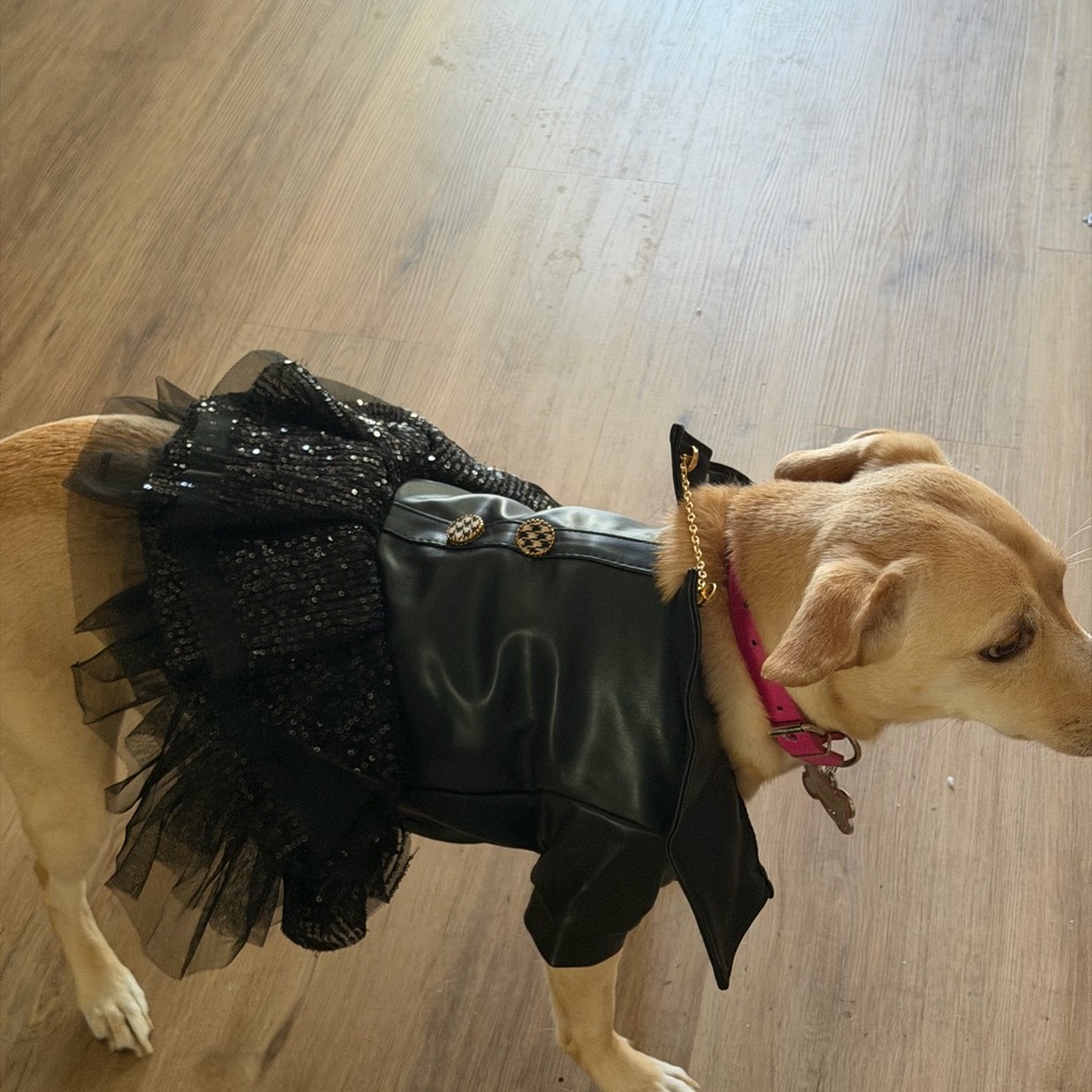 Black Dog Tutu Jacket